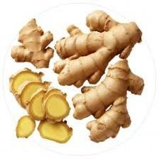زنجبيل عود اخضر