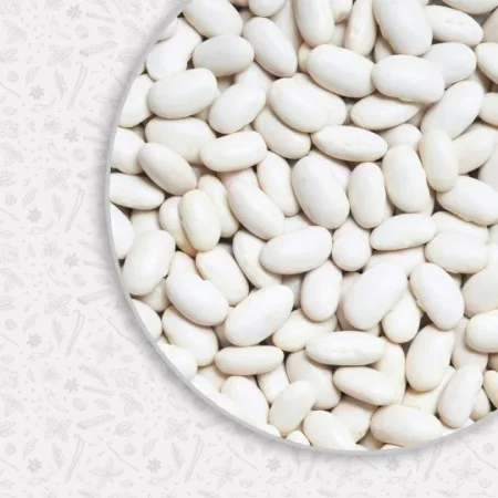 فاصوليا بيضا