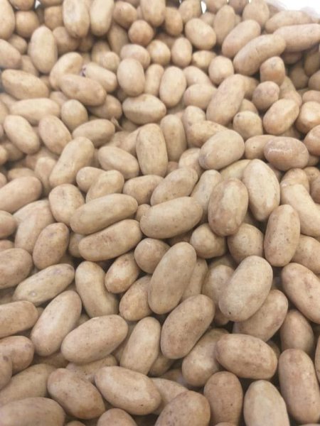 بندق برازيلي